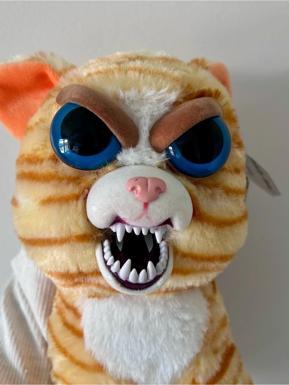 Feisty Pets “Princess Potty-mouth” Orange Tabby Cat